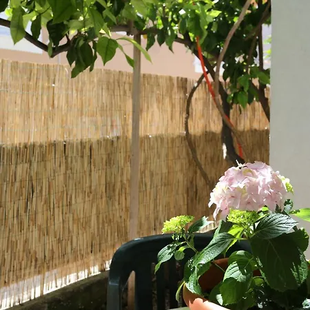 Apartamento With A Parking Space Orebic, Peljesac - 10103 *